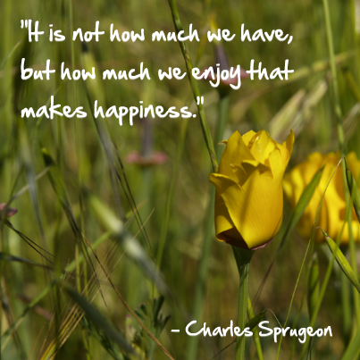 It is not how much we have but how much we enjoy that makes happiness.